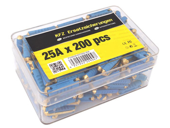 Bezpieczniki Cylindryczne 25A 200Szt