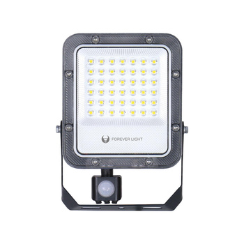 Naświetlacz LED PROXIM+ 30W 4000K 4500lm