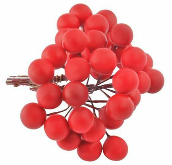 Jarzębina dekoracyjna